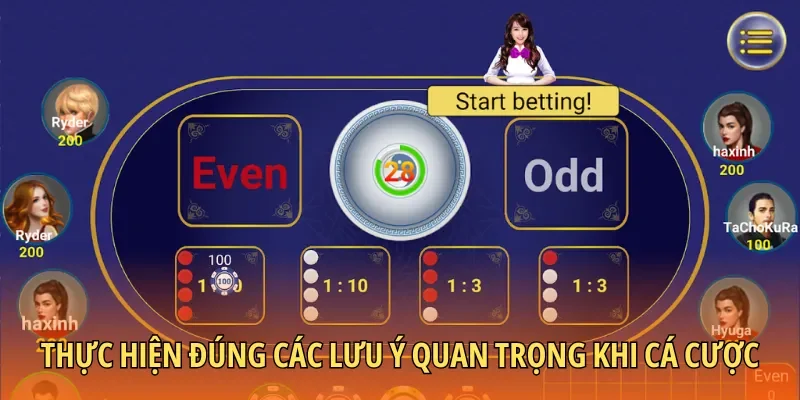 Thực hiện đúng các lưu ý quan trọng khi cá cược