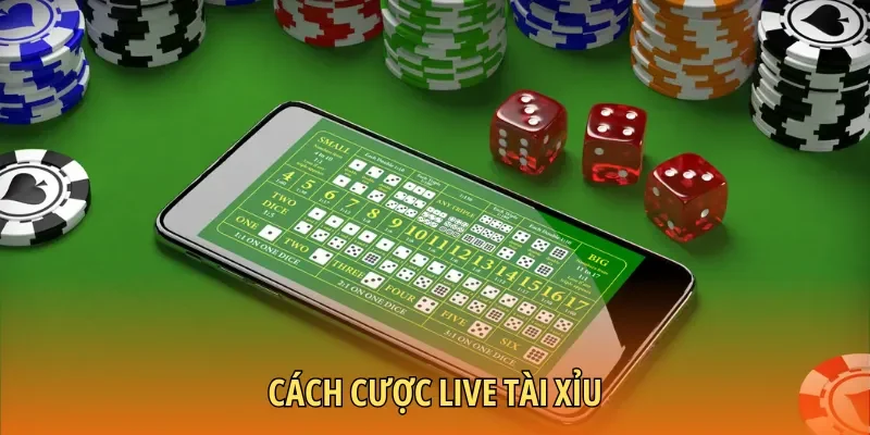 Quy trình cược Sicbo live tại cổng game