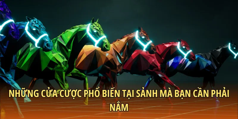 Những cửa cược phổ biến tại sảnh mà bạn cần phải nắm